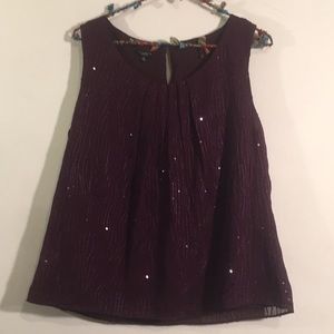Talbots sparkly plum blouse